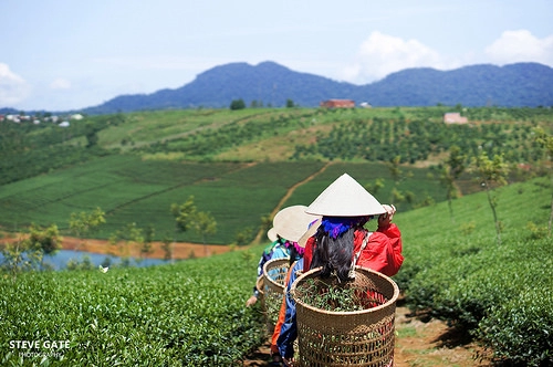 phototrip bảo lộc - một chuyến đi đáng nhớ