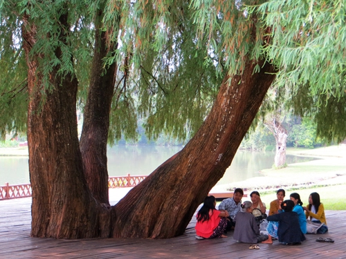 Pyin oo lwin có một đà lạt trong lòng myanmar