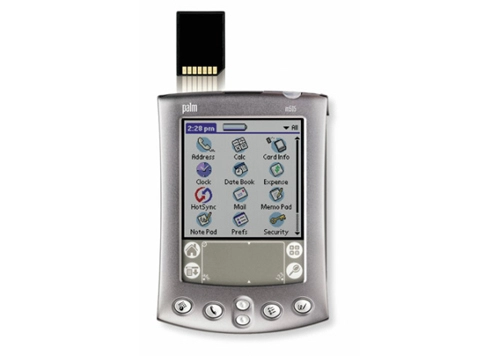 Quá khứ của vua pda