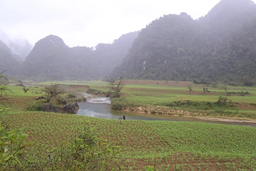 Quảng bình dựng tour phim trường kong skull island