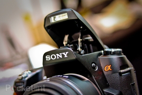 Sony alpha a450 từ mọi góc cạnh