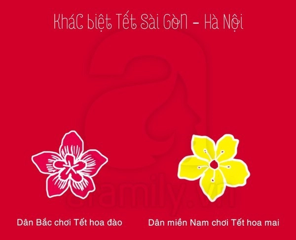 Sự khác biệt rõ rệt giữa ngày tết của người bắc - nam