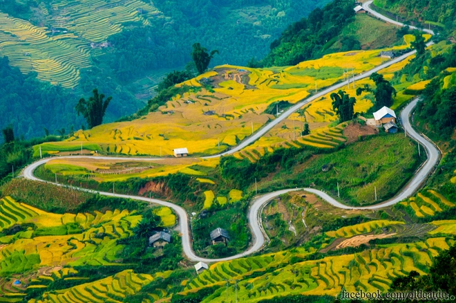 Thu vàng miên man ở y tý lào cai