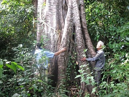 Truyền thuyết về rừng loạn luân