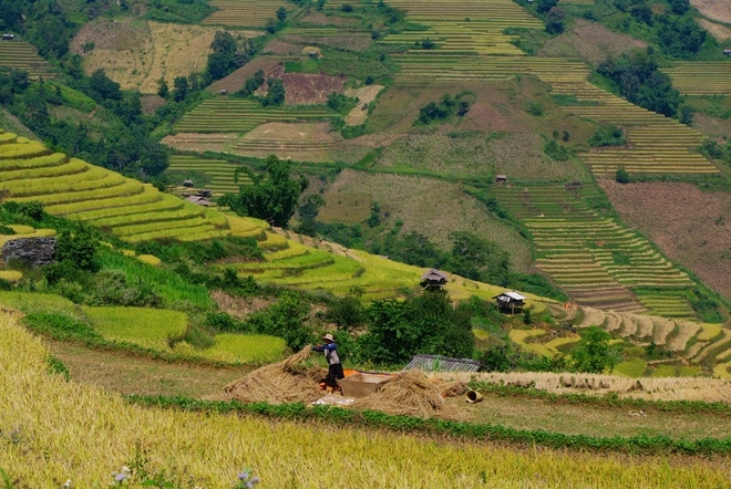 Vùng đất biệt lập chiềng ân chuyển màu lúa chín