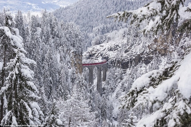 Tàu hỏa chạy xuyên dãy alps trong tuyết trắng