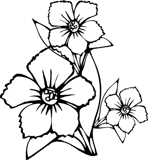 Tranh tô màu 3 bông hoa