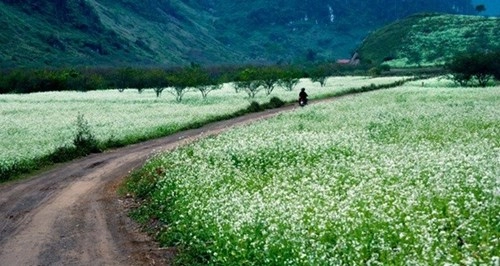 5 điểm du lịch gần hà nội tuyệt vời cho tết dương lịch