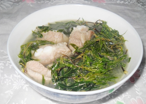 Bổ dưỡng canh đinh lăng nấu sườn non