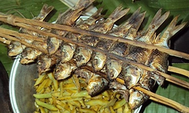 Đắng ngọt thơm bùi món nộm núc nác