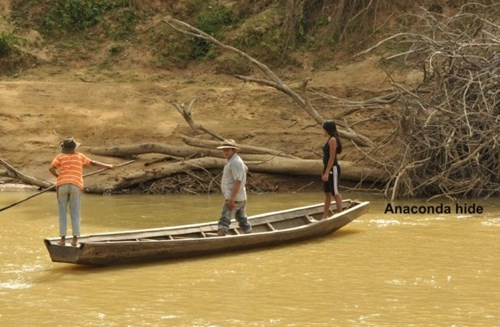 Giải cứu trăn anaconda khổng lồ lạc trong khu nghỉ dưỡng