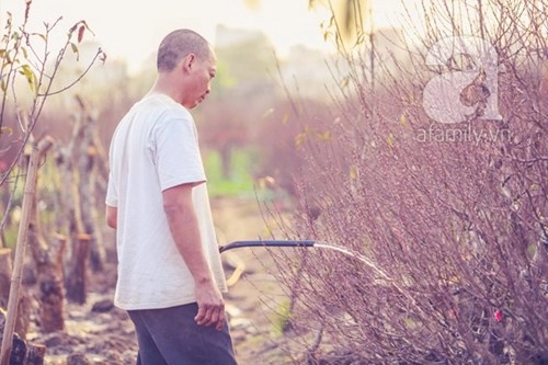 Giới trẻ hà thành đua nhau đi chụp ảnh khoe dáng bên đào nhật tân