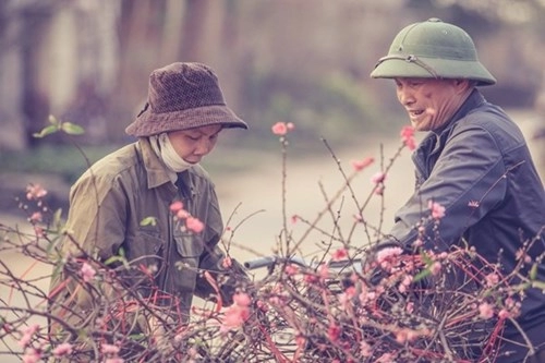 Giới trẻ hà thành đua nhau đi chụp ảnh khoe dáng bên đào nhật tân