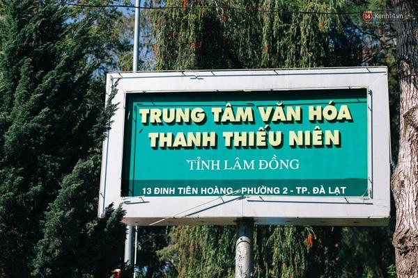 Không phải rừng thông không phải lữ tấn đây chính là địa điểm chụp ảnh đang hot nhất đà lạt