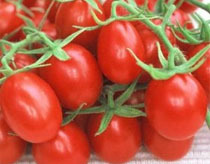 Làm nước sốt cà chua để dùng dần thế nào