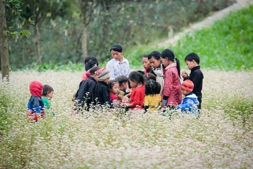 Ngỡ ngàng trước vẻ đẹp của đồng hoa tam giác mạch hà giang