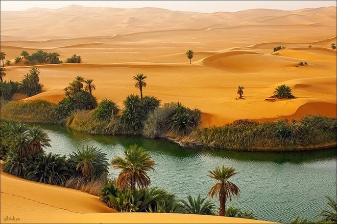 Những điều kỳ diệu giữa sa mạc