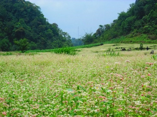 Rong ruổi rẻo cao hà giang