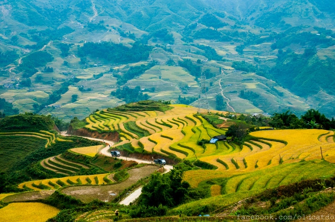 Ruộng bậc thang sa pa vào danh sách những nơi đẹp nhất thế giới