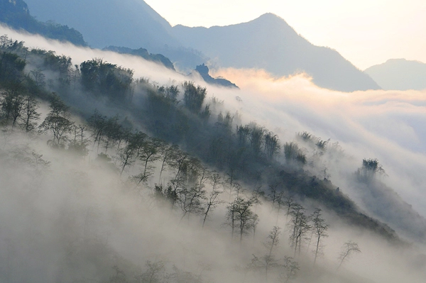 Sa pa huyền ảo mây trắng