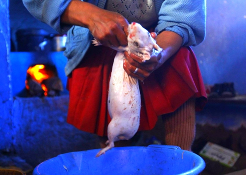 Thịt chó chuột đồng việt vào top món ăn kinh dị thế giới