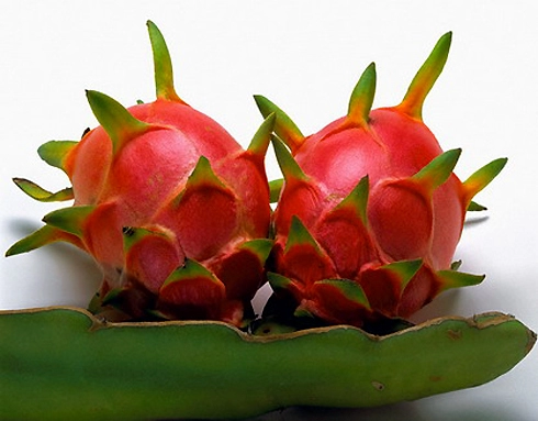 Top 10 hoa hậu trái cây của việt nam