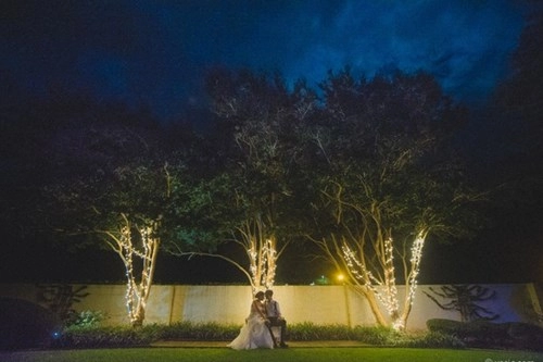 19 bức ảnh cưới với ánh sáng cổ tích khiến tim bạn tan chảy