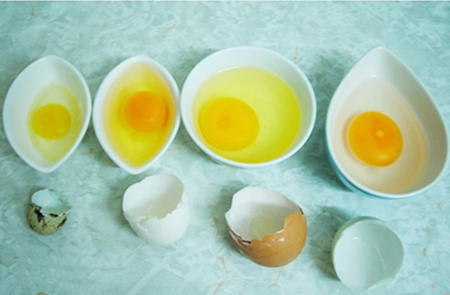 6 dại khi cho con ăn trứng