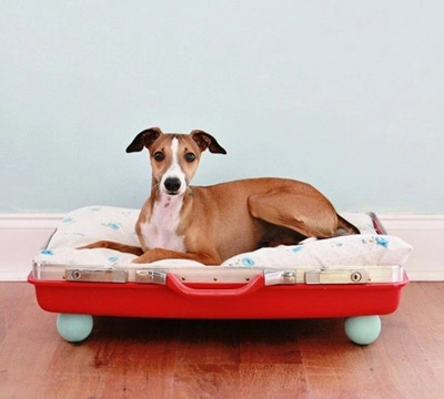 7 cách tự chế giường cho thú cưng
