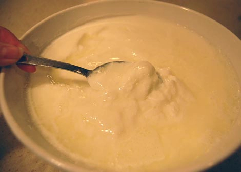 Cách làm sữa chua hy lạp dẻo ngon