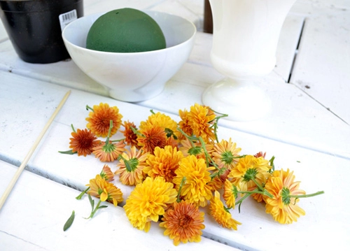 Cắm hoa cúc để bàn đẹp trong 5 phút