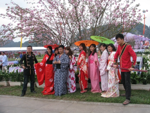 Cơ hội mặc kimono chụp ảnh với hoa anh đào ở hạ long