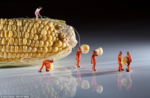 Độc đáo hình ảnh siêu thực về thực phẩm