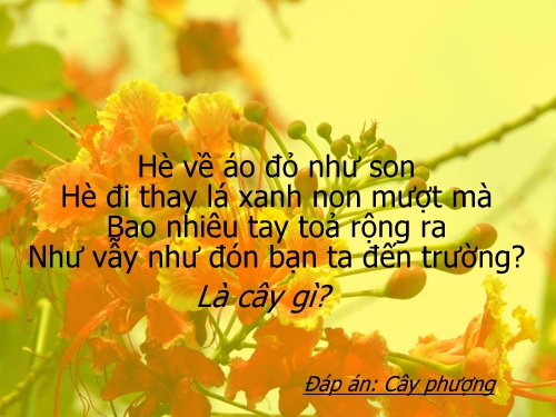 Giúp trẻ thông minh đừng quên câu đố dân gian