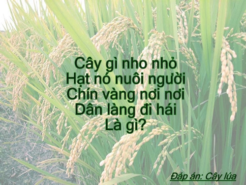 Giúp trẻ thông minh đừng quên câu đố dân gian