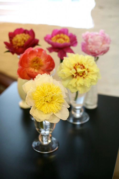 Hoa đẹp 20-10 cắm mẫu đơn làm điệu bàn ăn