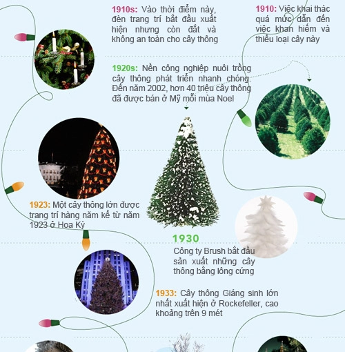 Infographic lịch sử 400 năm của cây thông noel