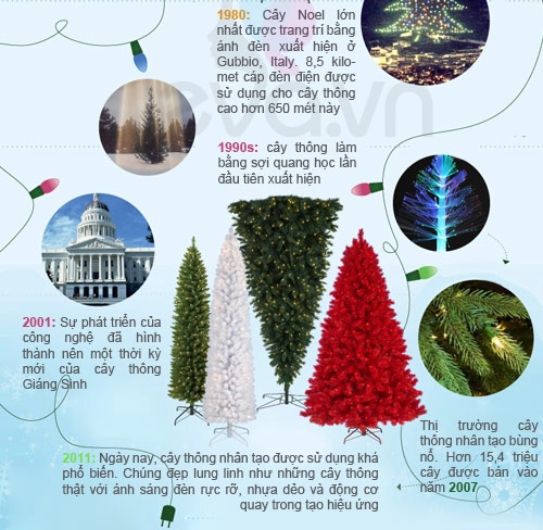 Infographic lịch sử 400 năm của cây thông noel