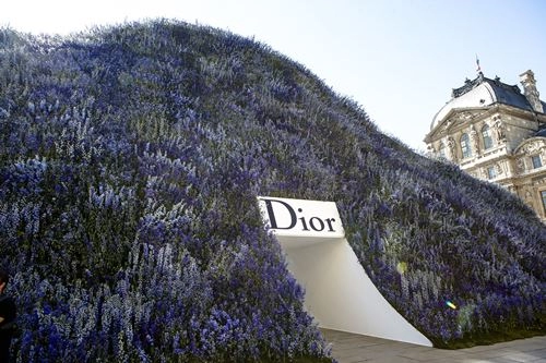 Mùa hoa oải hương ngập tràn sàn diễn dior