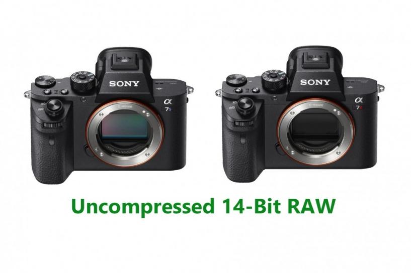 Sony chuẩn bị cập nhật firmware mới cho dòng máy alpha tập trung nâng cấp chất lượng ảnh chụp