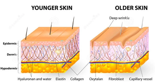 Sự thật về bổ sung collagen làm căng da