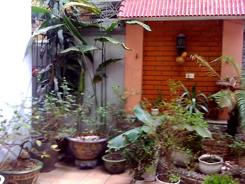 Tạo vườn cho nhà trong phố