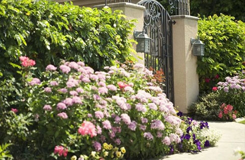 Thiết kế cổng đẹp cho nhà vườn