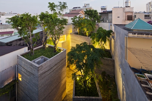 600000 đồng một m2 để phủ cây xanh cho mái nhà