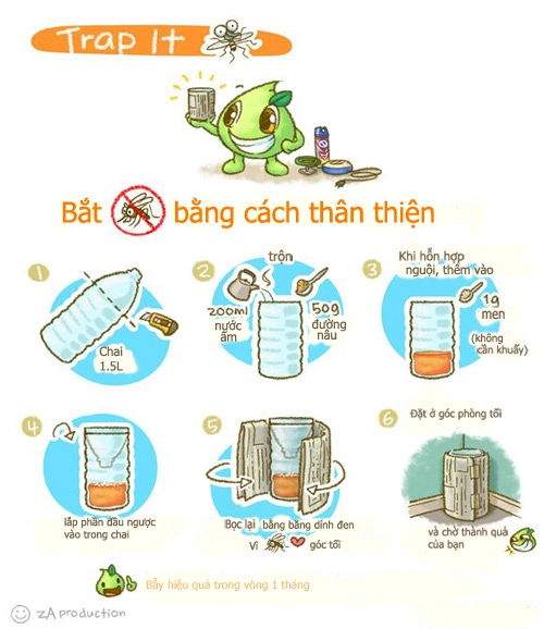 Bẫy nước ngọt rẻ tiền bắt hàng trăm con muỗi