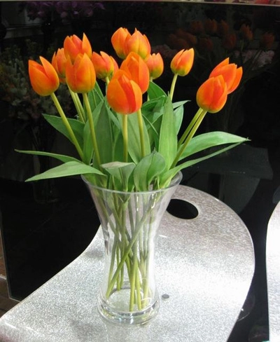 Bình hoa tulip đem mùa xuân vào nhà