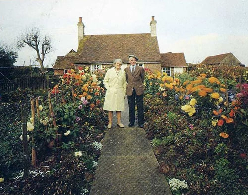 Cảm động đôi vợ chồng già cùng nhau trồng vườn hoa