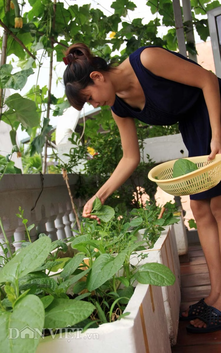 Chăm vườn rau sân thượng - tuyệt chiêu cơm lành canh ngọt của vợ chồng trẻ