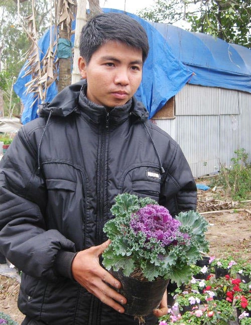 Chị em đua nhau săn hoa hồng sa mạc giảm béo đẹp nhà