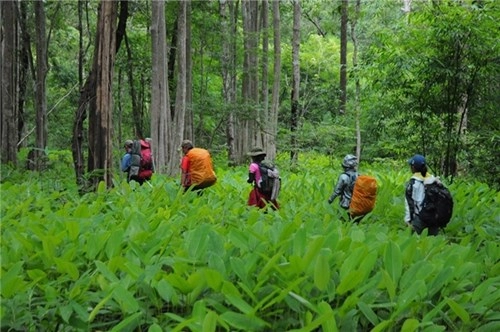 Cung đường treck đẹp nhất việt nam tựa chốn thiên đường